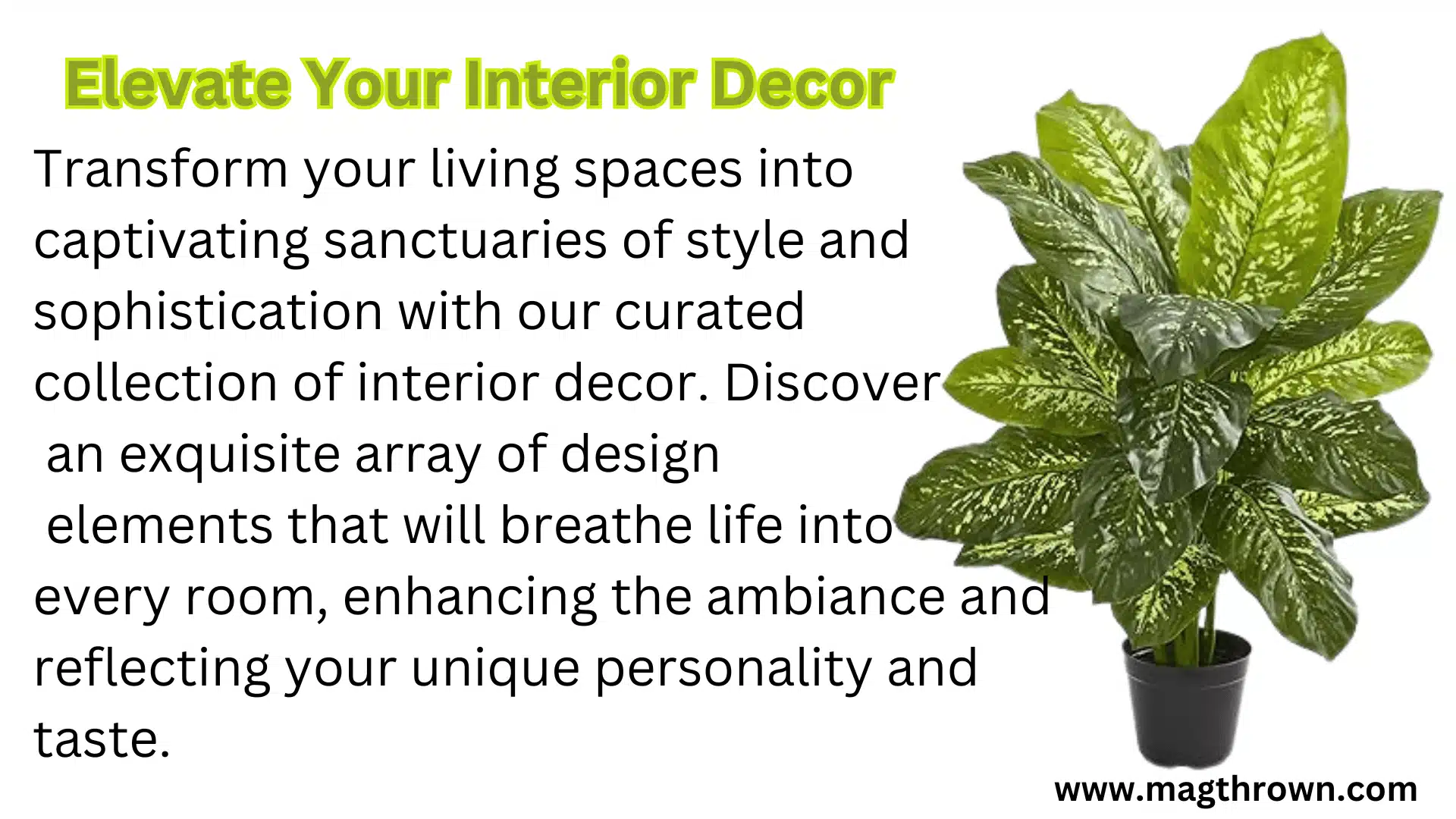 Elevate Your Interior Decor