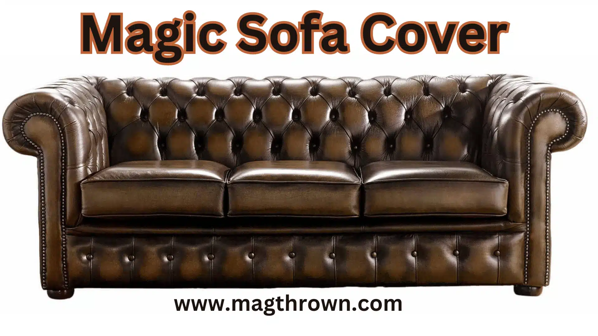 Magic Sofa Cover